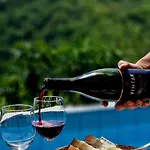 Гостевой дом Valentina At Pintar Wine Estate Kojsko