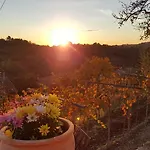 Гостевой дом Valentina At Pintar Wine Estate Kojsko