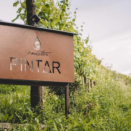Valentina At Pintar Wine Estate Gæstehus