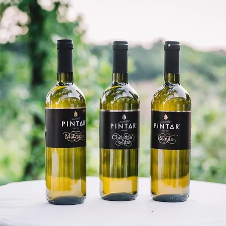 Гостевой дом Valentina At Pintar Wine Estate