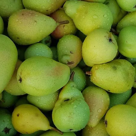 Valentina At Pintar Wine Estate Guest house