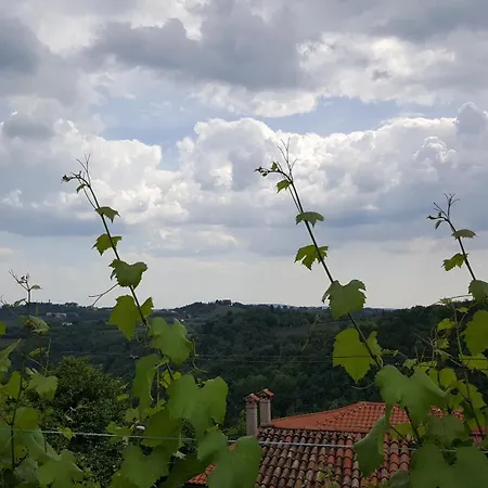 Гостевой дом Valentina At Pintar Wine Estate