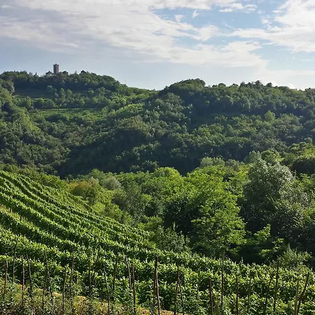 Valentina At Pintar Wine Estate 4* Kojsko