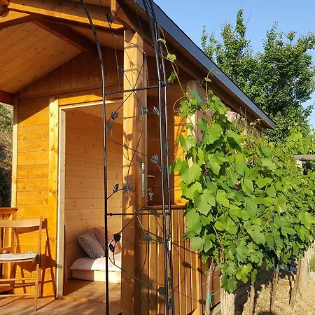 Valentina At Pintar Wine Estate 4* Kojsko