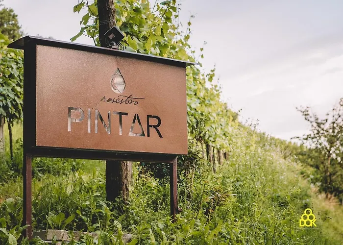 Valentina At Pintar Wine Estate Affittacamere