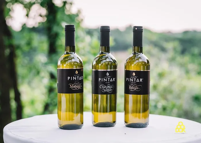 Gasthuis Valentina At Pintar Wine Estate