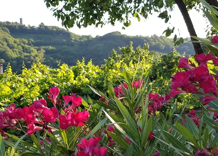 Valentina At Pintar Wine Estate Kojsko