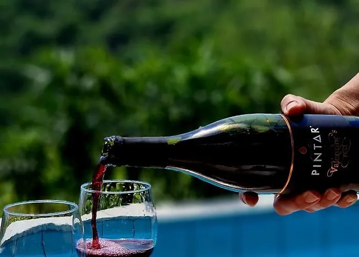 Affittacamere Valentina At Pintar Wine Estate Kojsko