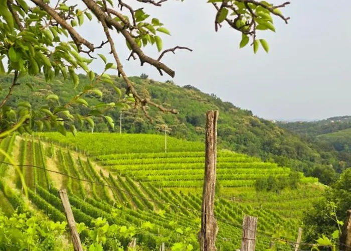 Affittacamere Valentina At Pintar Wine Estate