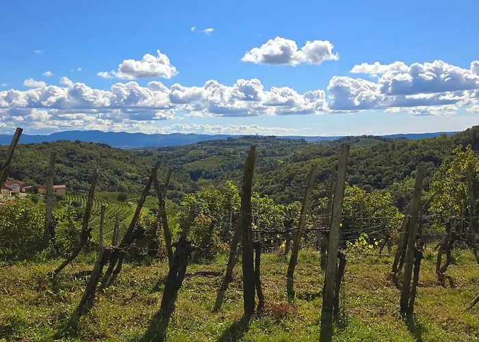 Valentina At Pintar Wine Estate Affittacamere Kojsko