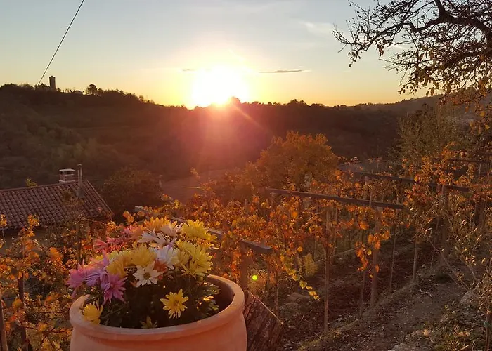Gasthuis Valentina At Pintar Wine Estate Kojsko