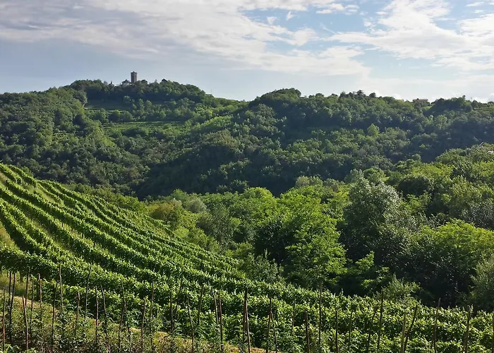 Valentina At Pintar Wine Estate 4* Kojsko